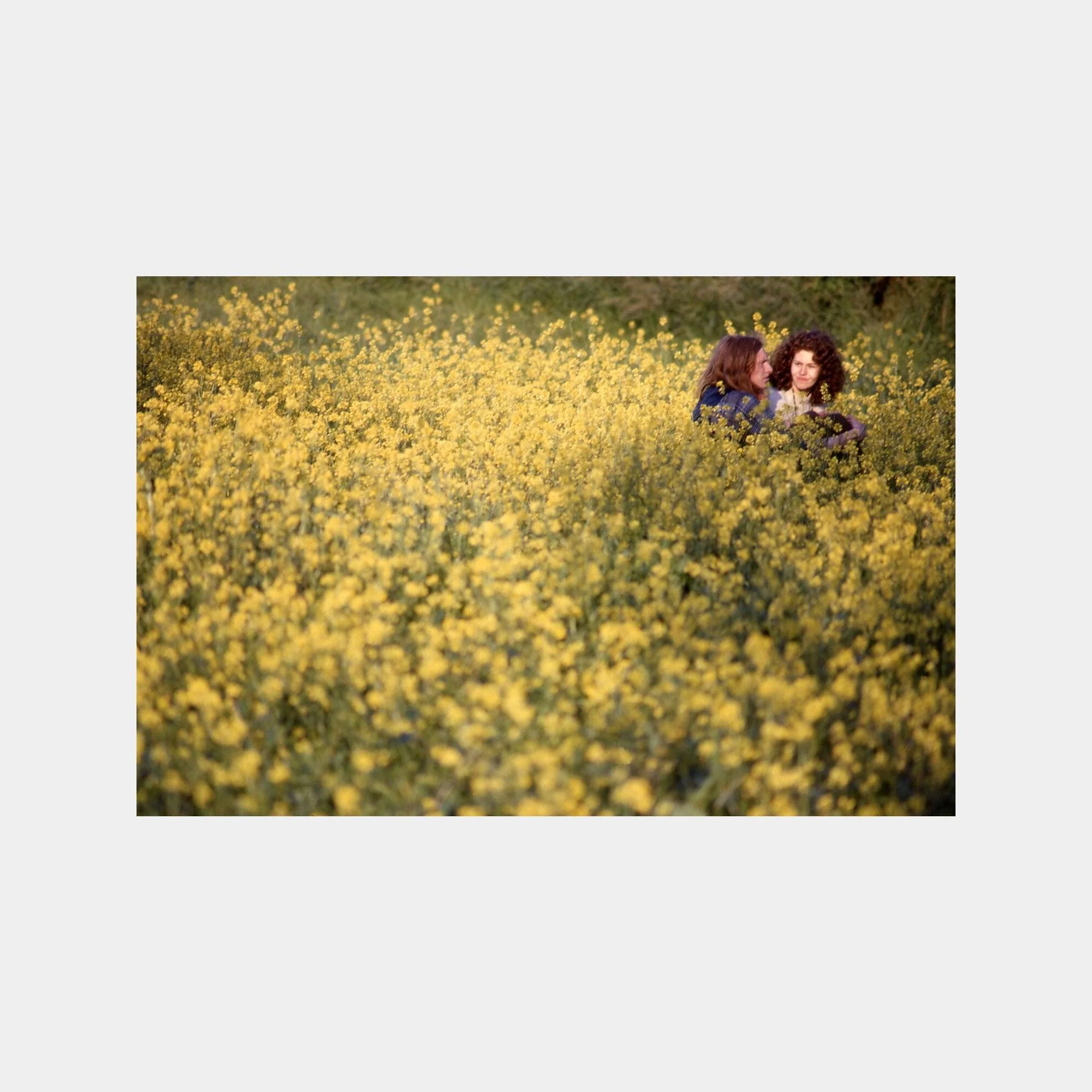 IDEA In the Vale of Avalon: Glastonbury Festival 1971 - Image 5