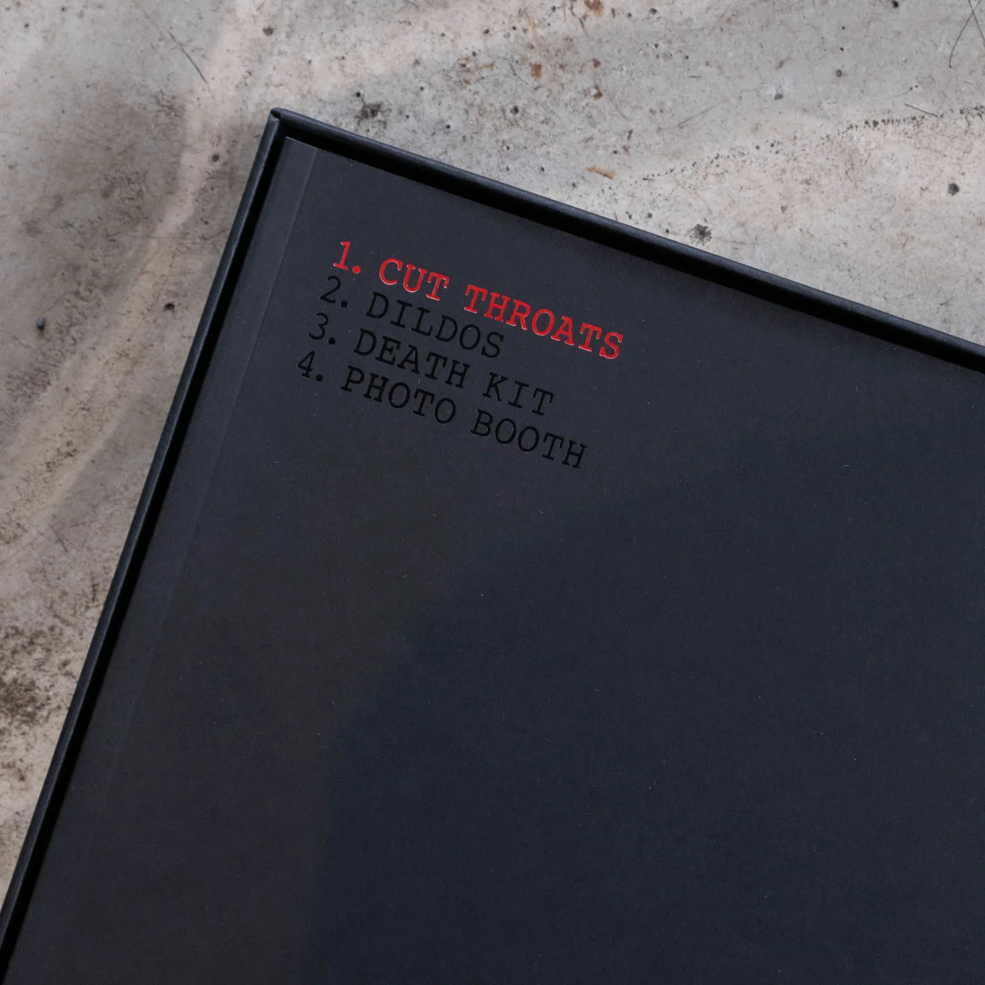 IDEA Steven Klein Private Collection Book - Image 3